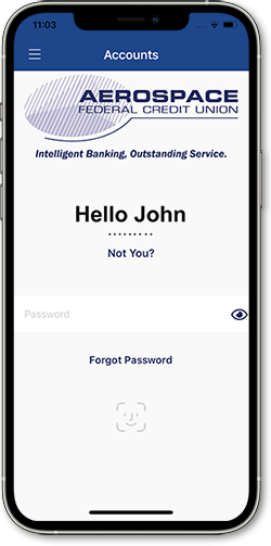Screenshot of Biometric Login view in mobile banking app
