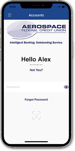 Screenshot of Biometric Login view in mobile banking app