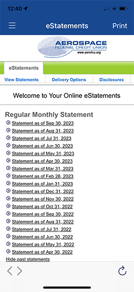 Screenshot of eStatements view in mobile banking app