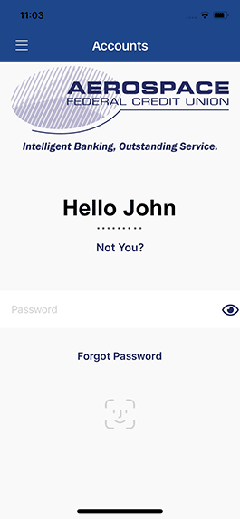 Screenshot of Biometric Login view in mobile banking app